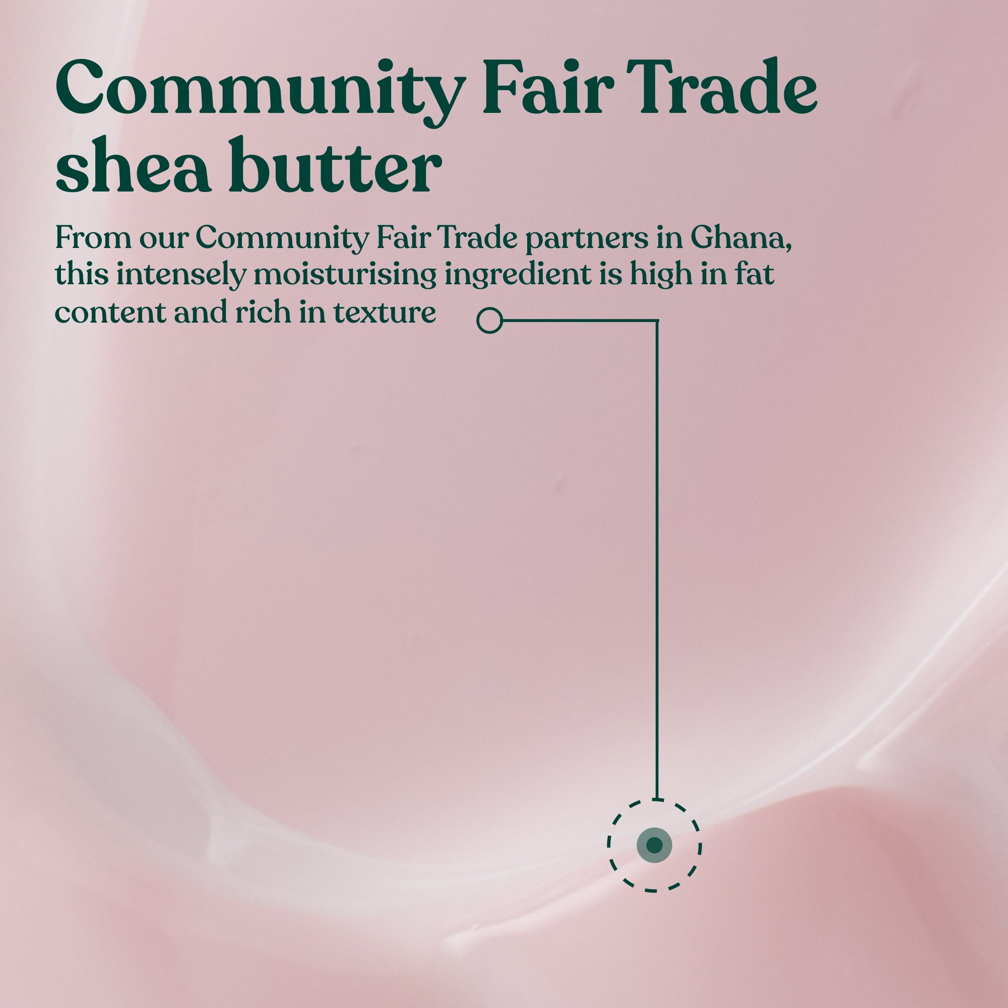 Frosted Cranberry & Mint Leaves Hand Cream