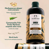 Sampon anti-matreata Ginger